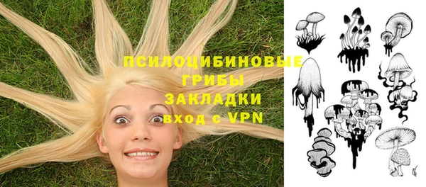 спиды Лабытнанги