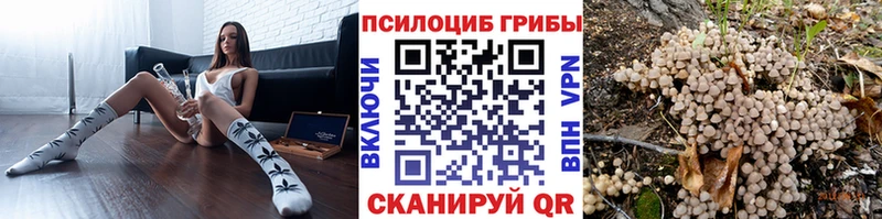 Псилоцибиновые грибы GOLDEN TEACHER  Батайск 