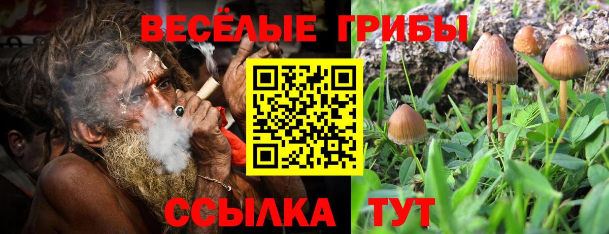 Батайск  Псилоцибиновые грибы мухоморы  Вход с VPN 
