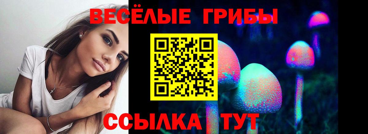 Псилоцибиновые грибы мицелий Батайск