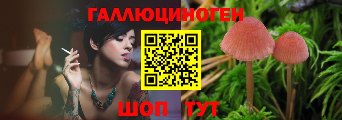 Псилоцибиновые грибы Psilocybine cubensis  Батайск 